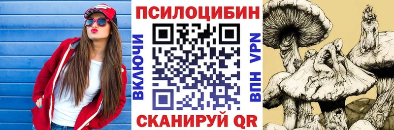 omg ССЫЛКА  Славгород  Галлюциногенные грибы ЛСД 
