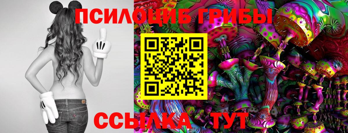 Псилоцибиновые грибы Magic Shrooms Славгород