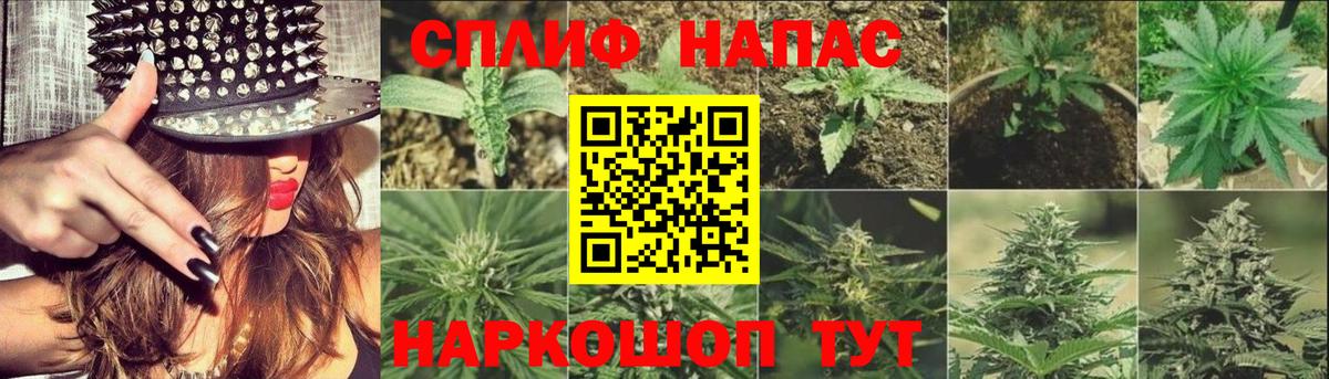 Славгород  Шишки марихуана гибрид  Бошки Шишки марихуана  Вход с VPN  Бошки Шишки тримм 